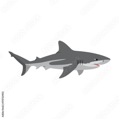 Illustrated great white shark swimming side view – flat illustration