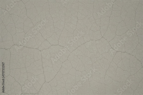A close-up view of a light-colored surface with a network of fine, irregular cracks.