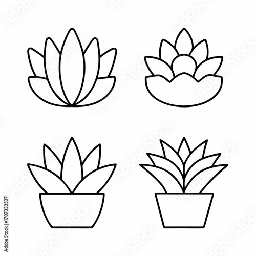 Succulent Plants Thin Line Icon Set Aloe Vera, Cactus, Jade, Echeveria Outline Vector Illustrations