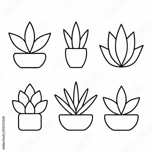 Succulent Plants Thin Line Icon Set Aloe Vera, Cactus, Jade, Echeveria Outline Vector Illustrations