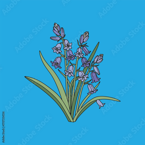 Illustration of a cluster of bluebell flowers with green leaves against a solid blue background.