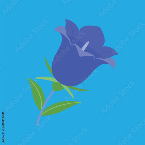 Illustration of a stylized bluebell flower with green leaves against a solid light blue background.