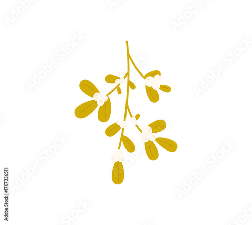 Cute mistletoe branch vector illustration isolated on white background. Traditional Christmas plant