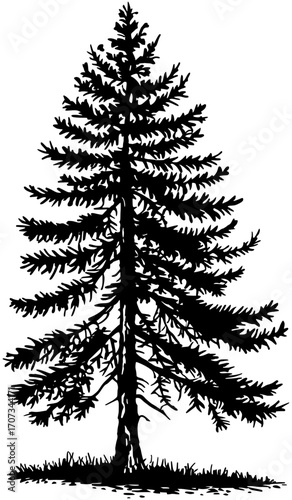 vector illustration of a tree