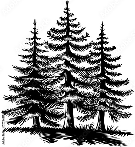 Three Pine Trees SVG