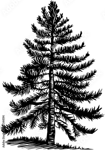 Single Pine Tree SVG