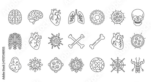 Scientific icons depict human anatomy, cells, and bones for medical research and health education needs.