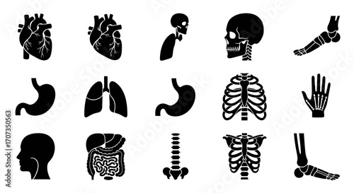 Stunning collection of human anatomy icons depicting organs and skeletal systems for medical and educational use
