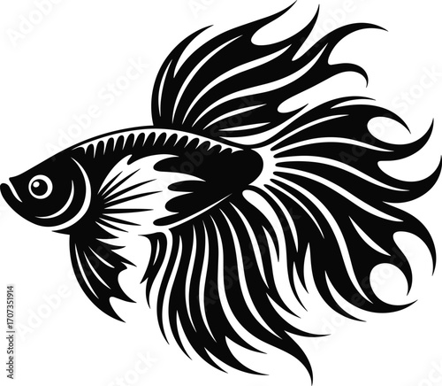 Elegant black and white betta fish illustration, ornamental aquatic animal design, tropical fish art, decorative sea life drawing, nature-inspired graphic, detailed fish silho