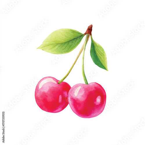 Two ripe red cherries with green leaves watercolor illustration.