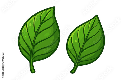 Two green leaves vector illustration. Simple cartoon plant foliage icon isolated on white. Natural, fresh, organic, bio, and eco concept for nature and ecology design.