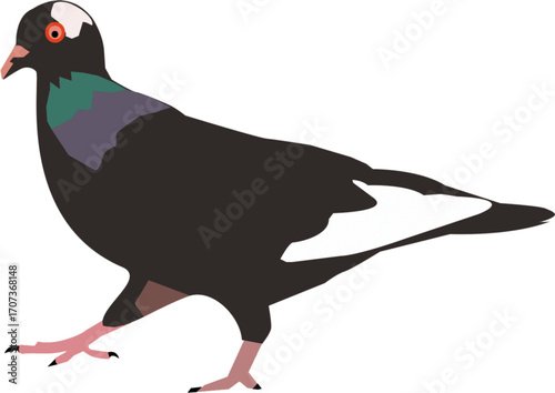 vector icon of a dove looking southeast in black, white, green, red, and blue.esp