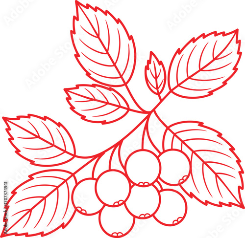 Red rowan branch with berries and leaves design