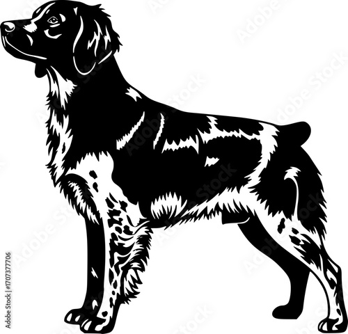 Brittany spaniel silhouette, Brittany dog clipart, Brittany dog svg, Dog silhouettes, Brittany dog icon.