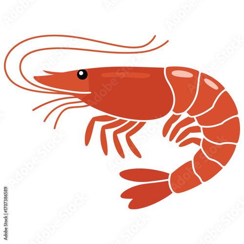 shrimp vector illustration