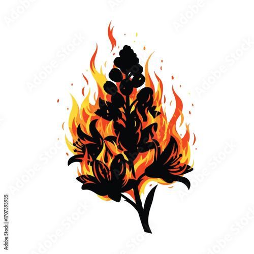 Fire flames isolated on white background