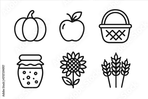 Autumn harvest line icon set. Fall farming and food collection. Vector illustration of pumpkin, apple, basket, jam jar, sunflower, wheat. Simple agriculture symbols.