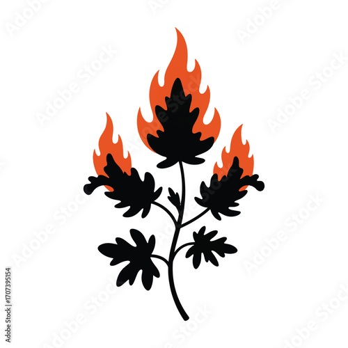 Fire flames on white
