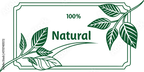 100% natural vector illustration of an abstract background