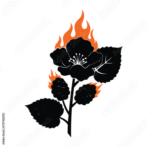 Vector illustration of a flower Illations