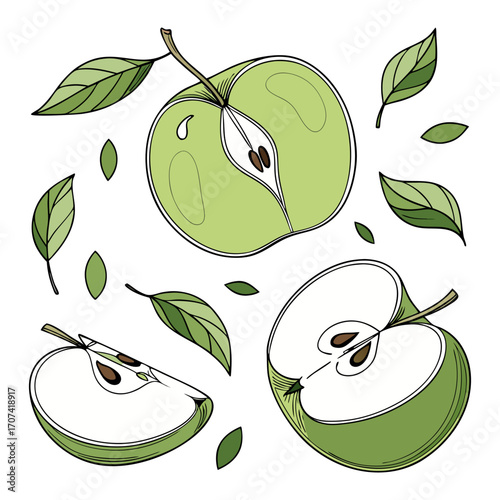 Create a high-resolution, realistic image of several fresh green apples (Granny Smith variety) arranged artistically on a white background. Include a mix of whole apples, halved apples, and apple slic