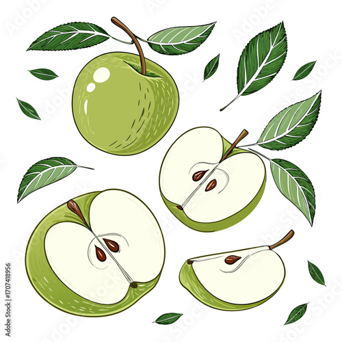 Create a high-resolution, realistic image of several fresh green apples (Granny Smith variety) arranged artistically on a white background. Include a mix of whole apples, halved apples, and apple slic
