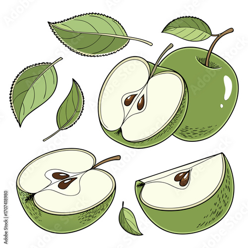 Create a high-resolution, realistic image of several fresh green apples (Granny Smith variety) arranged artistically on a white background. Include a mix of whole apples, halved apples, and apple slic