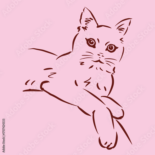 abstract of a cat on pink vector for illustration card decoration