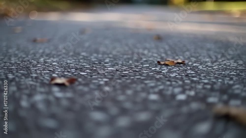 Wet asphalt road with scattered autumn leaves