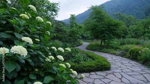 White flowers bloom along winding stone path