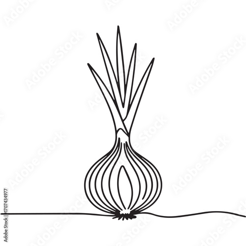 Continuous Simple black line art drawing of a onion in a minimalist style on a white background.