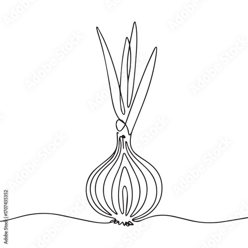 Continuous Simple black line art drawing of a onion in a minimalist style on a white background.