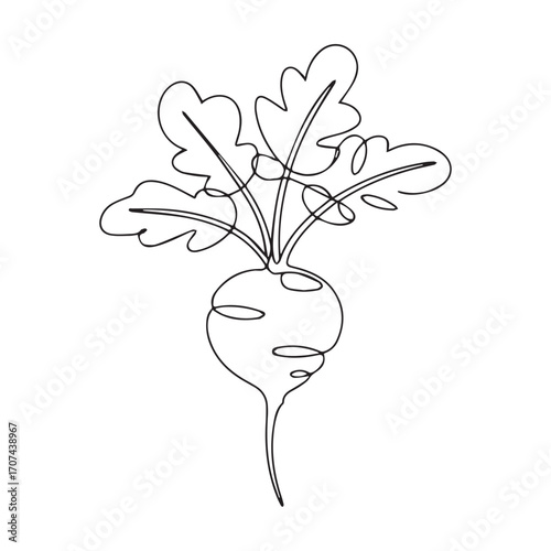 Continuous Simple black line art drawing of a Radish in a minimalist style on a white background.