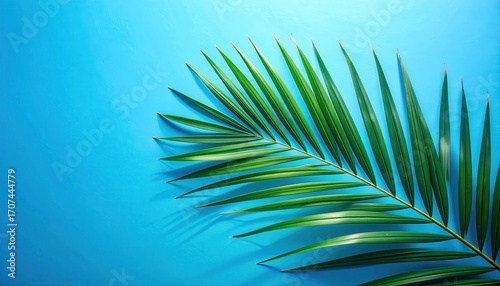 A vibrant green palm frond casts a shadow on a bright azure background.