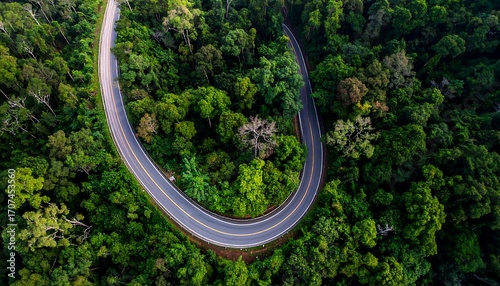 Wallpaper Mural Winding road through lush green forest Torontodigital.ca