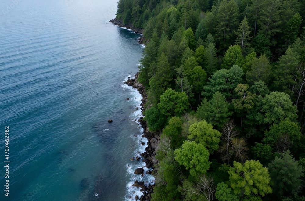 Obraz premium aerial view of a tropical island