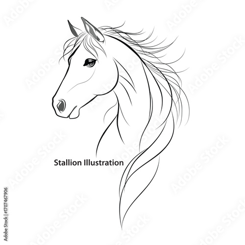 Stallion illustration.eps