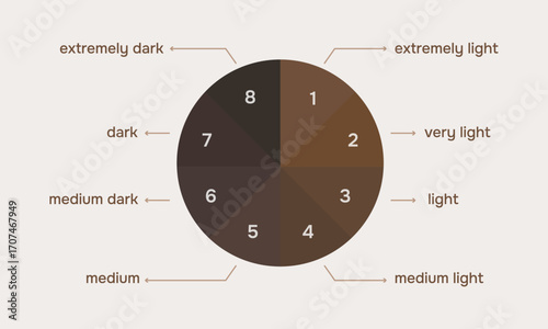 Chart of Coffee color. Vector infographic  illustration
