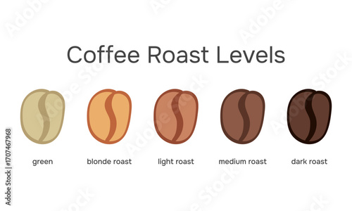 Coffee roasting level showing beans from light to dark roast, vector chart for espresso and brewing style	

