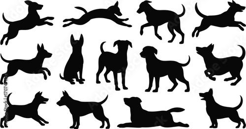 Dog silhouette set, canine poses, running, jumping, sitting, standing, lying down, black vector, pet icon, animal movement