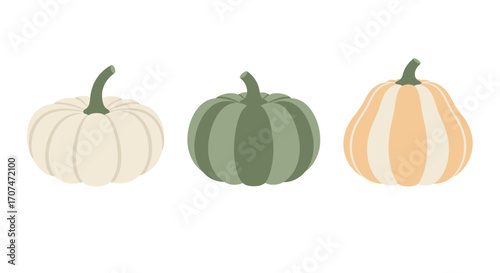 A set of three heirloom pumpkins in various shapes, sage green, and striped orange. A modern and aesthetic collection for Autumn, Halloween, and Thanksgiving decor. Flat vector illustration