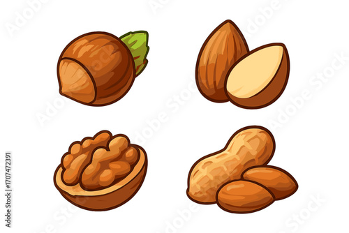 Nuts vector icon set. Cartoon illustration of hazelnut, almond, walnut, peanut. Healthy food snack graphic elements. Isolated collection of natural organic seeds for design.