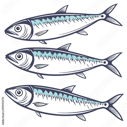 Three Stylized Mackerel Fish in a Row with Blue Stripes and Outline Keywords: fish, mackerel, seafood