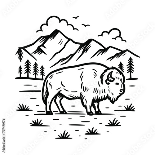 American bison in rocky mountains line art illustration