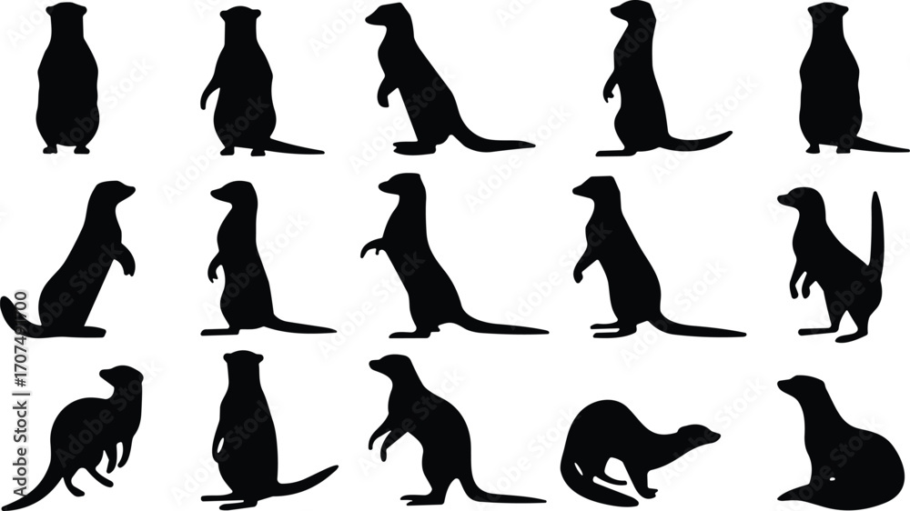 Samolepka Meerkat silhouette, animal pose, wildlife behavior, standing meerkats, black vec
