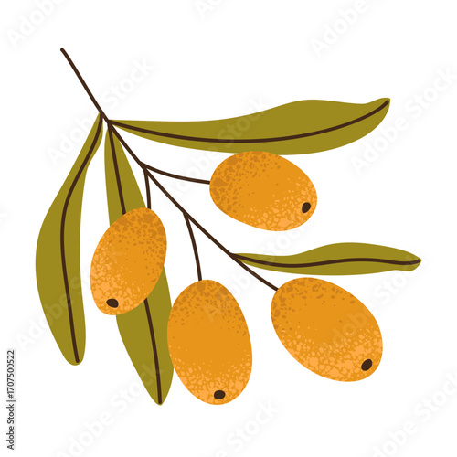 Isolated textured orange sea buckthorn berries and leaves. Trendy flat vector botanical illustration. Template for card, poster, advertisement, label, sticker, package, scrapbooking