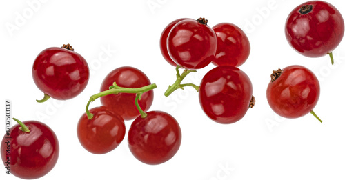 Red currant berries isolated
