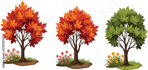 Beautiful autumn and green trees with vibrant fall foliage and blooming flowers, seasonal nature landscape, colorful maple trees outdoors.
