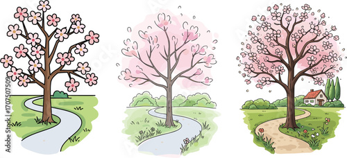 Beautiful cherry blossom trees with spring flowers, scenic curved paths, countryside nature landscape, peaceful park walkway, vector illustration.