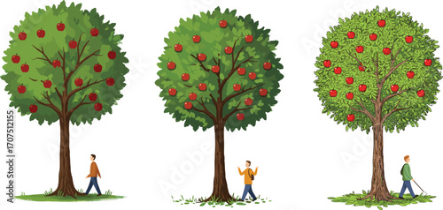 People walking near apple trees with ripe red apples, nature walk, orchard scenery, healthy lifestyle, outdoor activity, fresh fruit harvesting